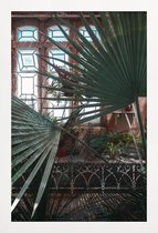 JUNIQE - Poster in houten lijst The Tropical Glasshouse II -20x30