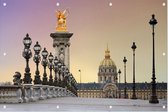 Zonsopgang op de Pont Alexandre III over de Seine in Parijs - Foto op Tuinposter - 90 x 60 cm