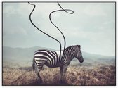 Abstracte zebra - Foto op Akoestisch paneel - 80 x 60 cm