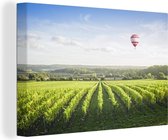 Canvas Schilderij Luchtballon - Druivenplant - Licht - 60x40 cm - Wanddecoratie