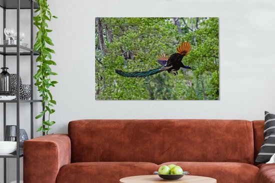 Paon coloré vole à travers les bois Toile 140x90 cm - Tirage photo sur toile (Décoration murale salon / chambre)