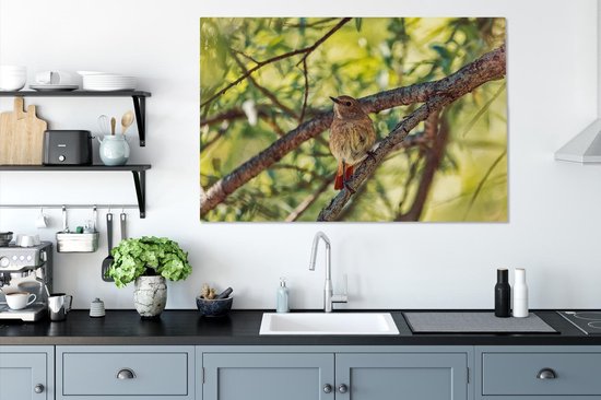 Un rougequeue à collier dans la forêt Toile 140x90 cm - Tirage photo sur toile (Décoration murale salon / chambre)