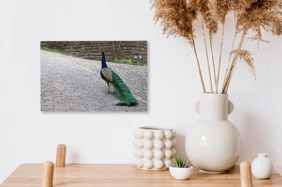 Paon marche dans une rue Toile 30x20 cm - petit - Tirage photo sur toile (Décoration murale salon / chambre)