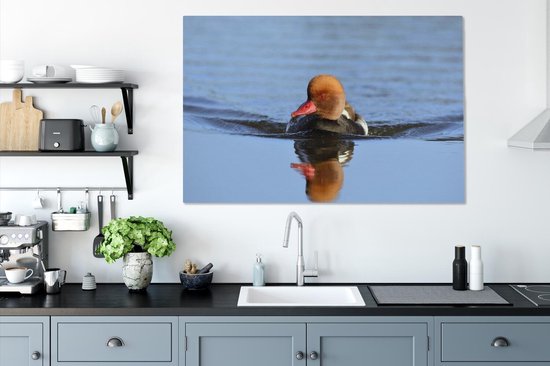 Un canard à crête rouge nage dans une toile de lac bleu 140x90 cm - Tirage photo sur toile (Décoration murale salon / chambre)