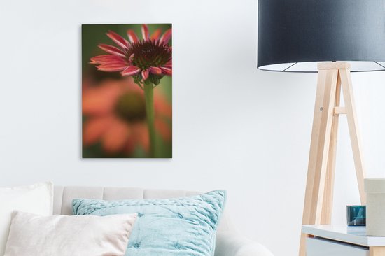 Fleur d'échinacée rouge en fleurs 20x30 cm - petit - Tirage photo sur toile (Décoration murale salon / chambre)
