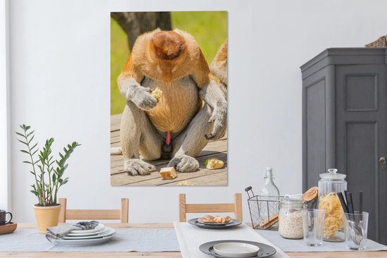 Un singe proboscis regardant vers le bas 90x140 cm - Tirage photo sur toile (Décoration murale salon / chambre)