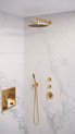 Brauer Gold Edition Regendoucheset inbouw - hoofddouche 30cm - 3 gladde knoppen - rechte wandarm - handdouche staaf 1 stand - PVD - geborsteld goud