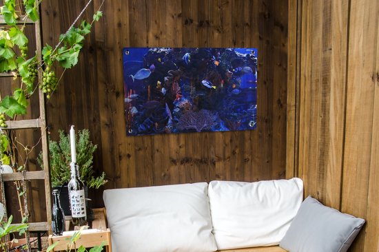 Affiche de jardin d'aquarium d'eau de mer tropicale 90x60 cm - Toile de jardin / Toile d'extérieur / Peintures pour l'extérieur (décoration de jardin)