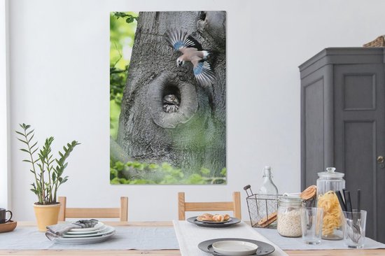 Jay avec un hibou 90x140 cm - Tirage photo sur toile (Décoration murale salon / chambre)