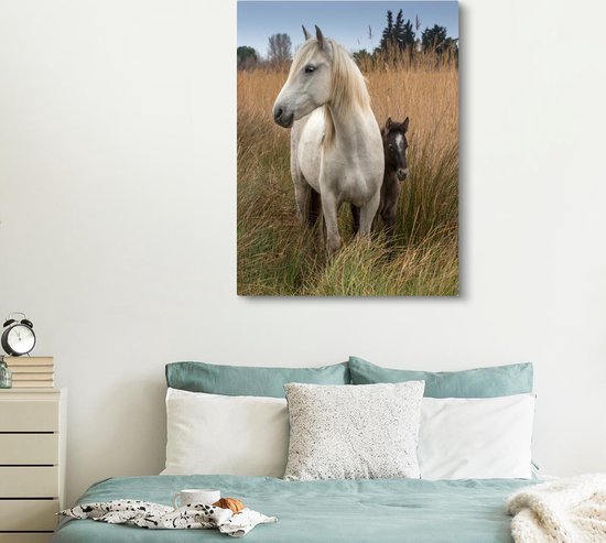 Cheval et son poulain dans les hautes herbes 120x160 cm - Tirage photo sur Toile (Décoration murale salon / chambre) / Animaux sauvages Peintures sur toile XXL / Groot format!