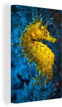 Hippocampe jaune avec épines 40x60 cm - Tirage photo sur toile (Décoration murale salon / chambre) / Mer et plage