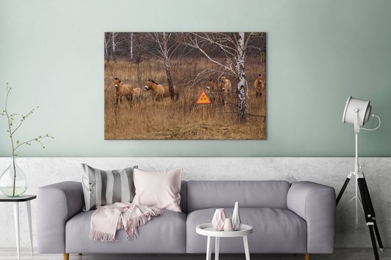 Chevaux de Przewalks à Tchernobyl 140x90 cm - Tirage photo sur toile peinture (Décoration murale salon / chambre) / animaux sauvages Peintures sur toile