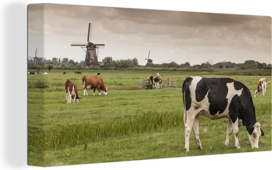 Tableau sur toile Vaches dans l'herbe avec moulins à vent à Amsterdam - 40x20 cm - Décoration murale