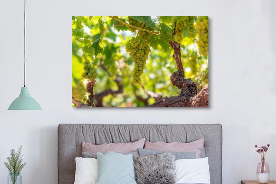 Peinture sur toile Raisins sur une branche - 150x100 cm - Décoration murale