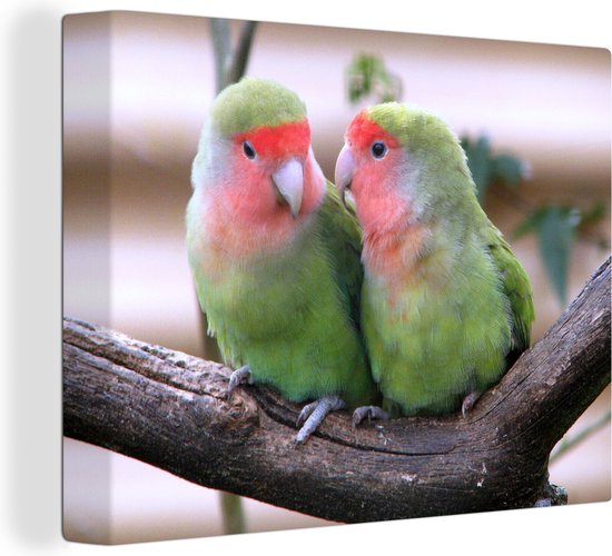 Inséparables amoureux sur une toile bâton 2cm 160x120 cm - Tirage photo sur toile (Décoration murale salon / chambre) XXL / Groot format!