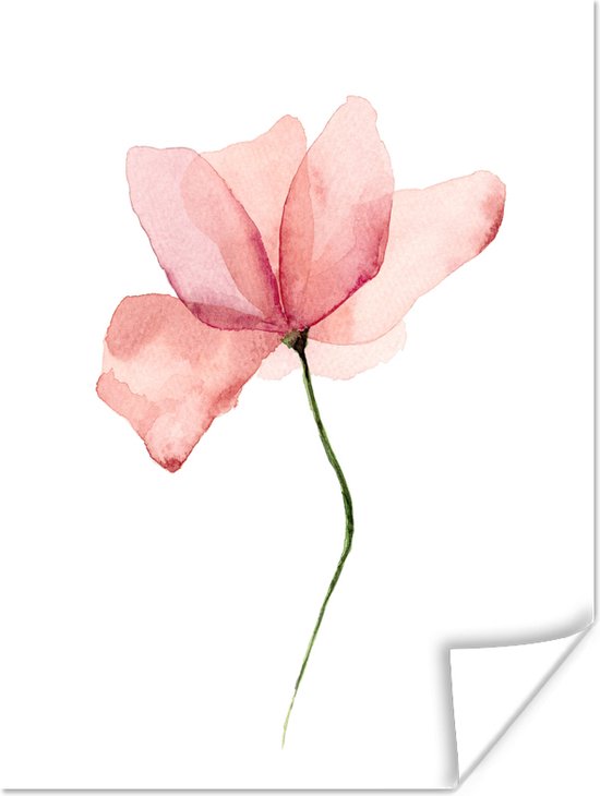 Aquarel illustratie roze bloem poster papier 60x80 cm - Foto print op Poster (wanddecoratie woonkamer / slaapkamer) / Kunst Poster