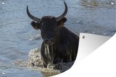 Tuindecoratie Een stier klimt het water uit in Camargue - 60x40 cm - Tuinposter - Tuindoek - Buitenposter