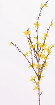 Fabulous Flowers - 2,0 sts zijden forsythia - Kunst sierheester