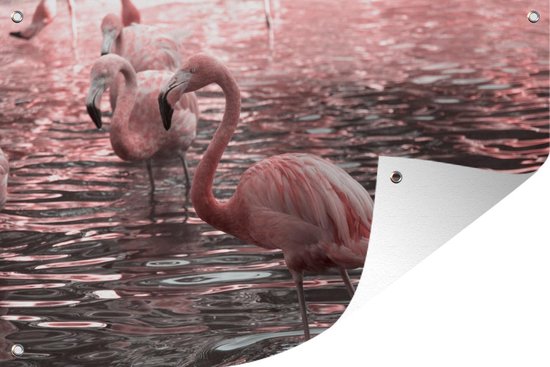 Tuindecoratie Een groep flamingo's staat in het water - 60x40 cm - Tuinposter - Tuindoek - Buitenposter
