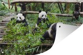 Tuinposter - Tuindoek - Tuinposters buiten - Panda's - Bamboe - Bladeren - 120x80 cm - Tuin