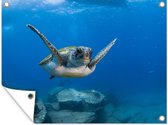 Muurdecoratie buiten Een zwemmende groene schildpad in het blauwe water - 160x120 cm - Tuindoek - Buitenposter
