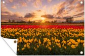 Tuinposter - Tuindoek - Tuinposters buiten - Geel veld tulpen - 120x80 cm - Tuin