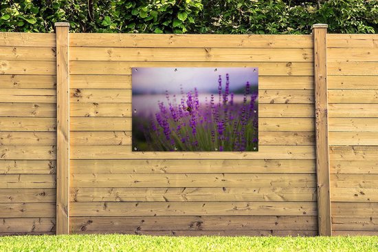 Affiche de jardin Lavande (2) - Lavande avec toile en vrac 120x80 cm avec l'affiche de jardin - Toile de jardin / Toile d'extérieur / Peintures pour l'extérieur (décoration de jardin)