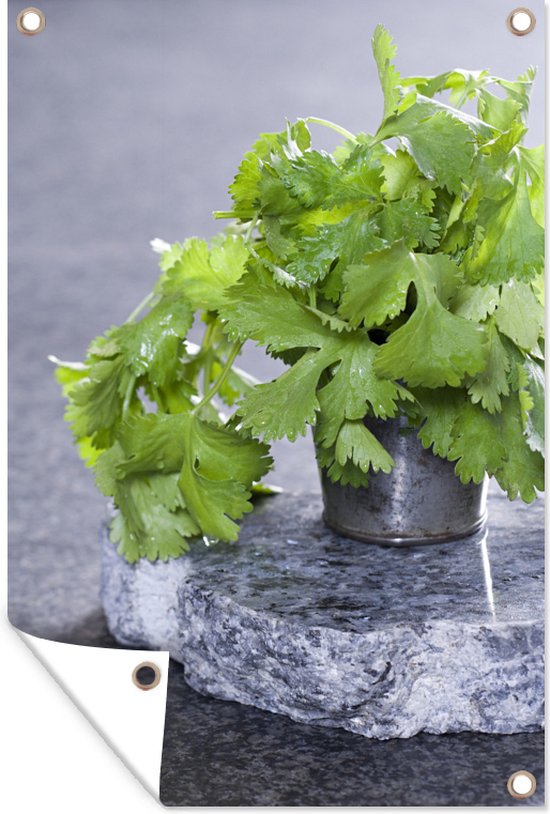 Tuindecoratie Koriander plant in een metalen pot op een marmeren plaat - 40x60 cm - Tuinposter - Tuindoek - Buitenposter