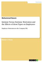 Intrinsic Versus Extrinsic Motivation and the Effects of those Types on Employees