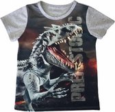 S&C dinosaurus t-shirt - Dino shirt - Prehistoric - grijs - maat 98/104 (4)