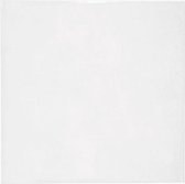 Milieuvriendelijke Zakjes Bioplastic 170x167cm - 100 st