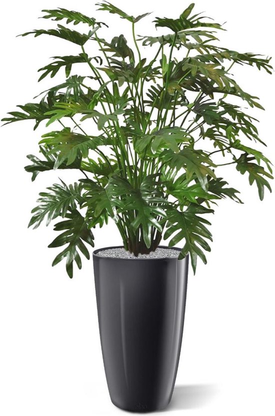 Philo Xanadu deluxe plante artificielle 110 cm