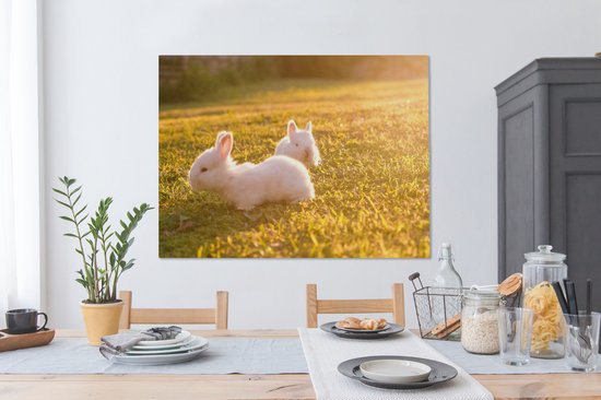 Peintures sur toile - Deux bébés lapins jouant dans l'herbe - 120x90 cm - Décoration murale