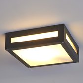 Lucande - plafondlamp - 1licht - aluminium, polycarbonaat - H: 6.5 cm - E27 - grafietgrijs, gesatineerd wit