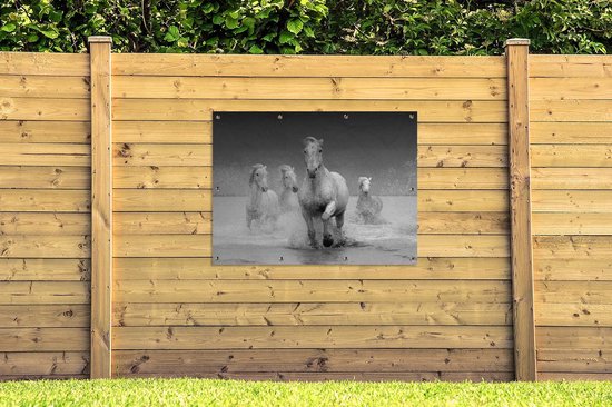 Affiche jardin - Toile jardin - Posters de jardin extérieur - Paarden - Water - Boue - 120x90 cm - Jardin