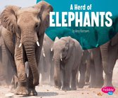 Animal Groups - A Herd of Elephants