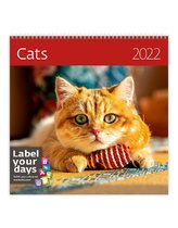 Katten Kalender 2022