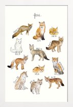 JUNIQE - Poster met houten lijst Vossen illustratie -13x18 /Bruin &