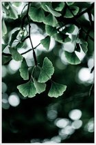 JUNIQE - Poster met kunststof lijst Ginko -13x18 /Kleurrijk
