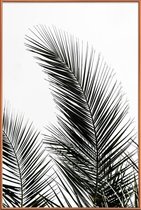 JUNIQE - Poster met kunststof lijst Palm Leaves 1 -30x45 /Kleurrijk
