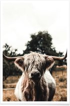 JUNIQE - Poster Boris Highland Cow -13x18 /Bruin & Groen
