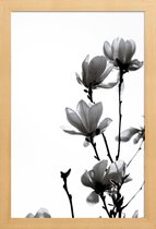 JUNIQE - Poster met houten lijst Aquarel zwarte magnolia -13x18 /Wit &