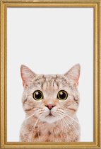 JUNIQE - Poster met houten lijst Kitten -30x45 /Bruin