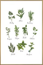 JUNIQE - Poster met kunststof lijst Herbs Collection -20x30 /Groen &