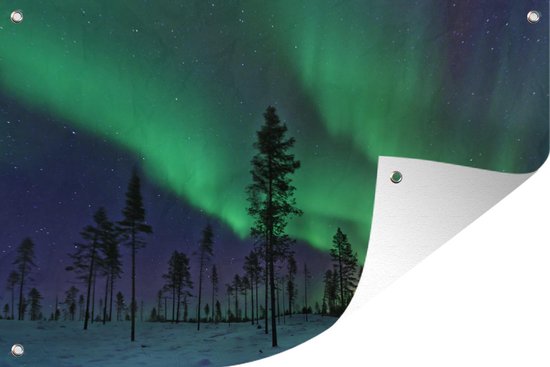 Northern Lights above Sweden Garden poster 60x40 cm - petit - Toile de jardin / Toile d'extérieur / Peintures d'extérieur (décoration de jardin)