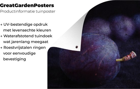 Mystérieuse photo de prunes violettes sur fond noir Affiche de jardin 180x120 cm - Toile de jardin / Toile d'extérieur / Peintures d'extérieur (décoration de jardin) XXL / Groot format!