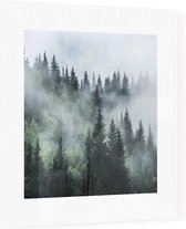 Misty Forest - Foto op Plexiglas - 40 x 40 cm