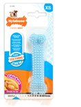 Blauwe Nylabone Puppy Teething Chew, kip smaak, XS