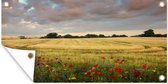 Wanddecoratie buiten Bloemen aan het tarweveld - 160x80 cm - Tuindoek - Buitenposter