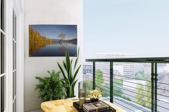 Arbres reflétant dans le lac Wanaka en Nouvelle-Zélande Affiche de jardin 60x40 cm - petit - Toile de jardin / Toile d'extérieur / Peintures pour l'extérieur (décoration de jardin)